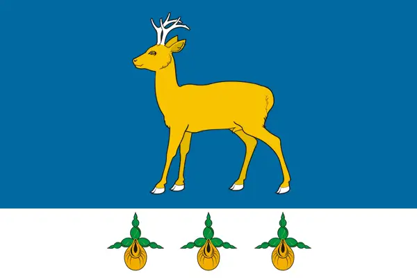 Флаг: Аромашевский район